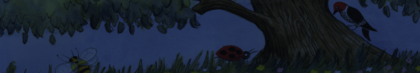banner image